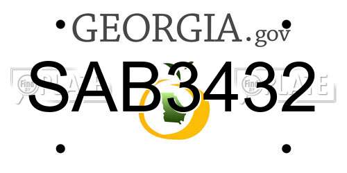 SAB3432 Georgia License Plate