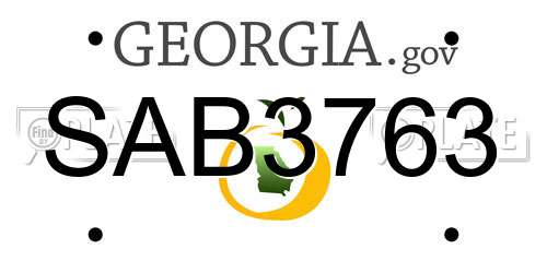 SAB3763 Georgia License Plate