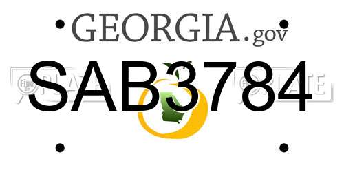 SAB3784 Georgia License Plate