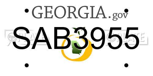 SAB3955 Georgia License Plate