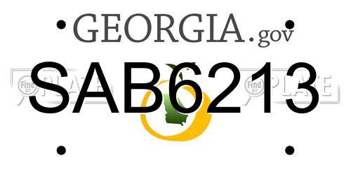 SAB6213 Georgia License Plate