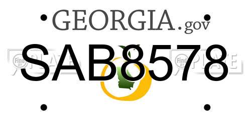 SAB8578 Georgia License Plate