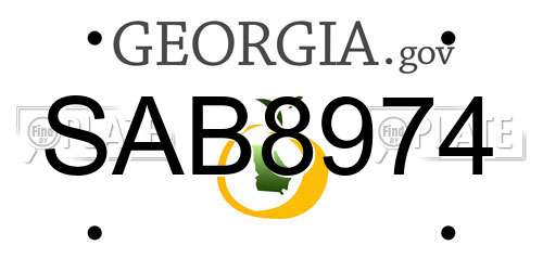 SAB8974 Georgia License Plate
