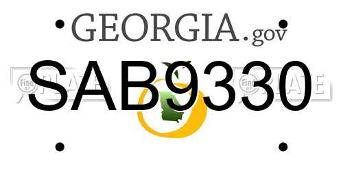 SAB9330 Georgia License Plate