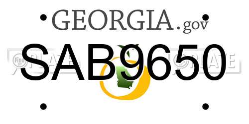 SAB9650 Georgia License Plate