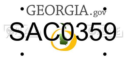 SAC0359 Georgia License Plate