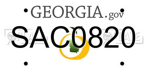 SAC0820 Georgia License Plate