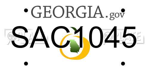 SAC1045 Georgia License Plate