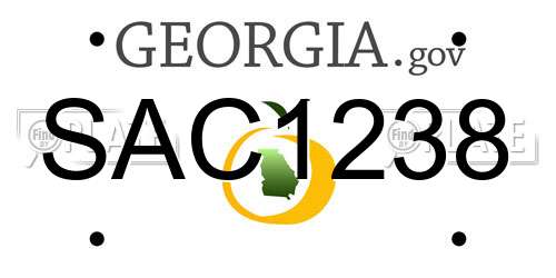 SAC1238 Georgia License Plate