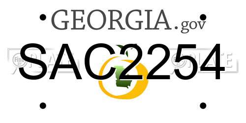 SAC2254 Georgia License Plate