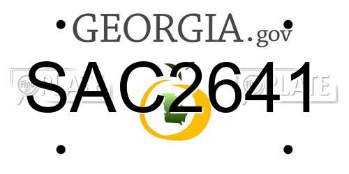 SAC2641 Georgia License Plate