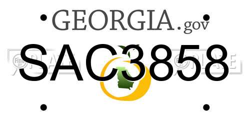 SAC3858 Georgia License Plate