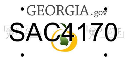 SAC4170 Georgia License Plate