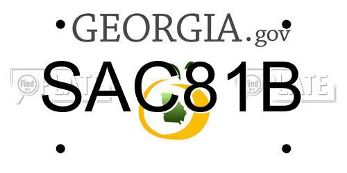 SAC81B Georgia License Plate