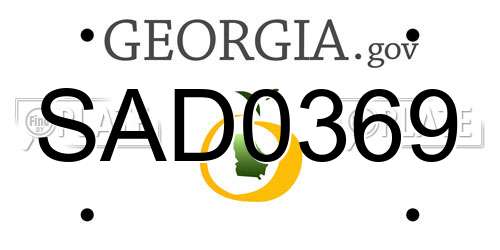 SAD0369 Georgia License Plate