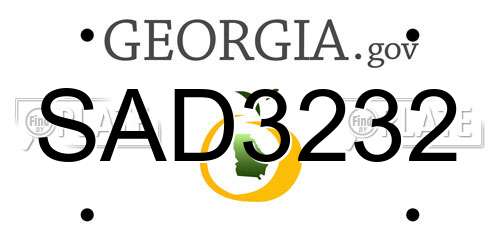 SAD3232 Georgia License Plate