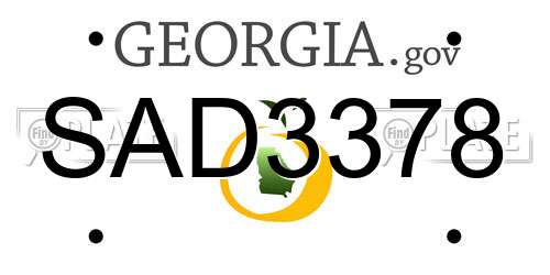 SAD3378 Georgia License Plate