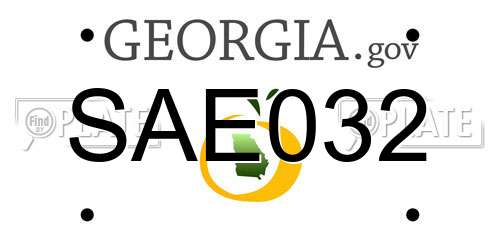 SAE032 Georgia License Plate