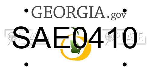 SAE0410 Georgia License Plate