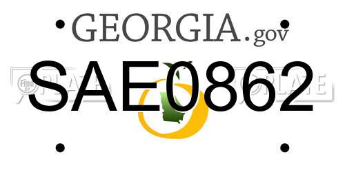 SAE0862 Georgia License Plate