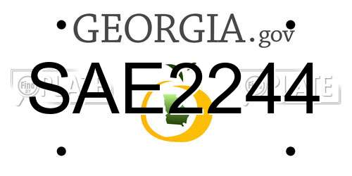 SAE2244 Georgia License Plate