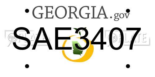 SAE3407 Georgia License Plate