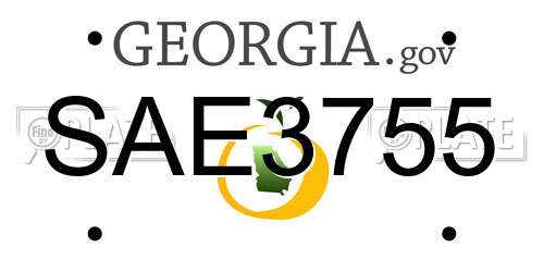 SAE3755 Georgia License Plate