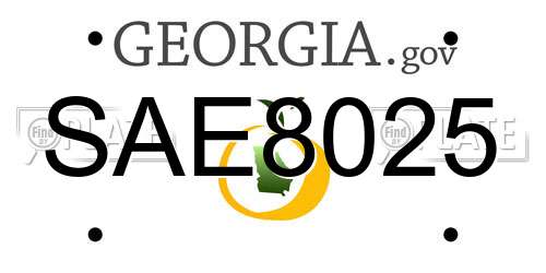 SAE8025 Georgia License Plate