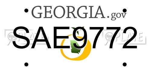 SAE9772 Georgia License Plate