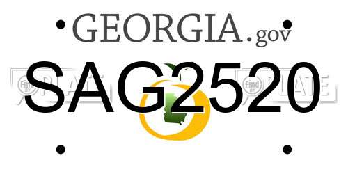 SAG2520 Georgia License Plate