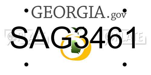 SAG3461 Georgia License Plate