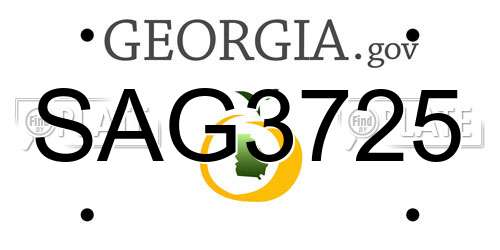 SAG3725 Georgia License Plate