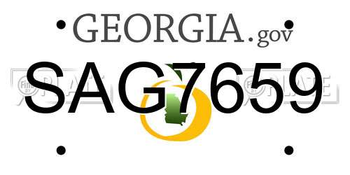 SAG7659 Georgia License Plate