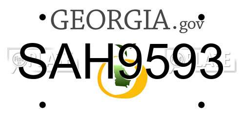 SAH9593 Georgia License Plate
