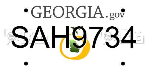 SAH9734 Georgia License Plate