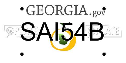SAI54B Georgia License Plate
