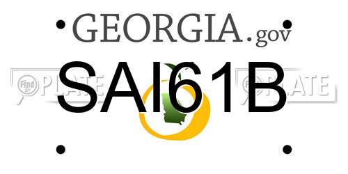 SAI61B Georgia License Plate