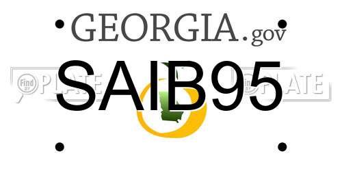 SAIB95 Georgia License Plate