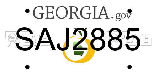 SAJ2885 Georgia License Plate