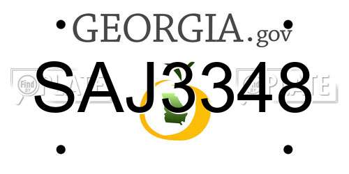 SAJ3348 Georgia License Plate