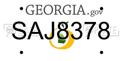 SAJ8378 Georgia License Plate
