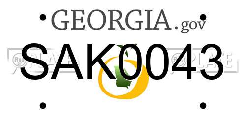 SAK0043 Georgia License Plate