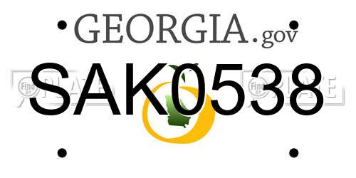 SAK0538 Georgia License Plate