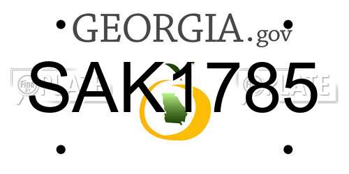 SAK1785 Georgia License Plate