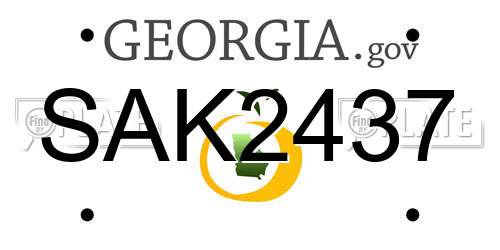 SAK2437 Georgia License Plate