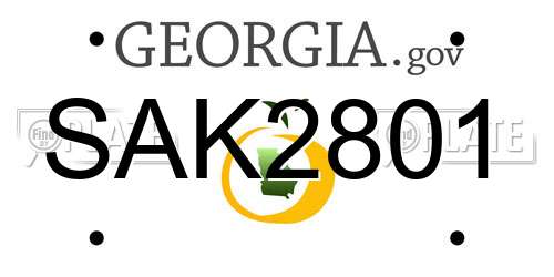SAK2801 Georgia License Plate