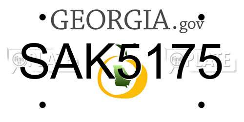 SAK5175 Georgia License Plate
