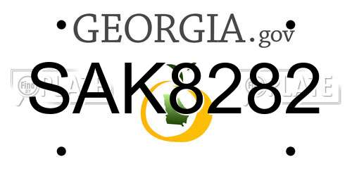 SAK8282 Georgia License Plate