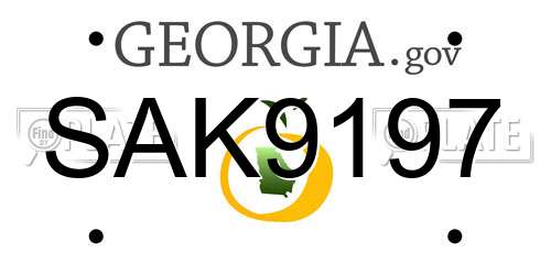 SAK9197 Georgia License Plate