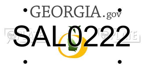 SAL0222 Georgia License Plate